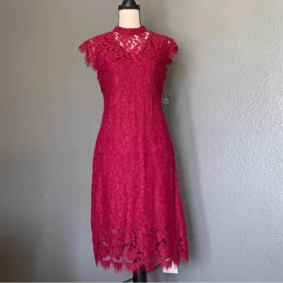 Simply Styled Dresses & Skirts - Very beautiful lace midi dress
